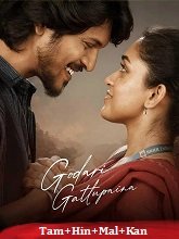 Godari Gattupaina