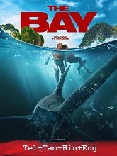 The Bay